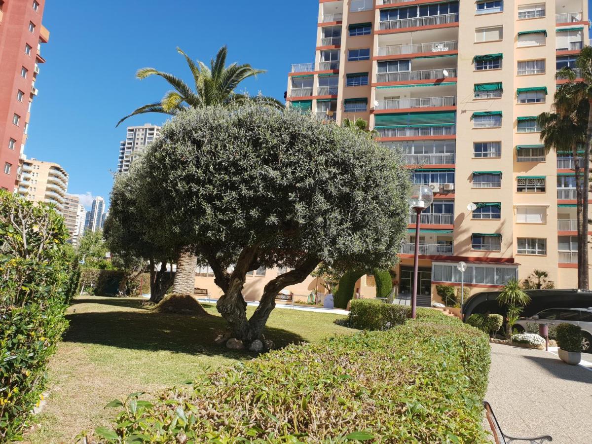 En El Cielo De - Alteanos V Apartment Benidorm